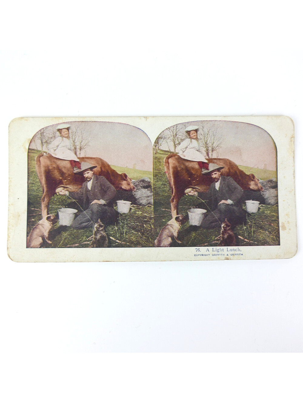 Antique Stereoview Card Humor Girl on Cow Man Milk to Cat A Light Lunch Griffith